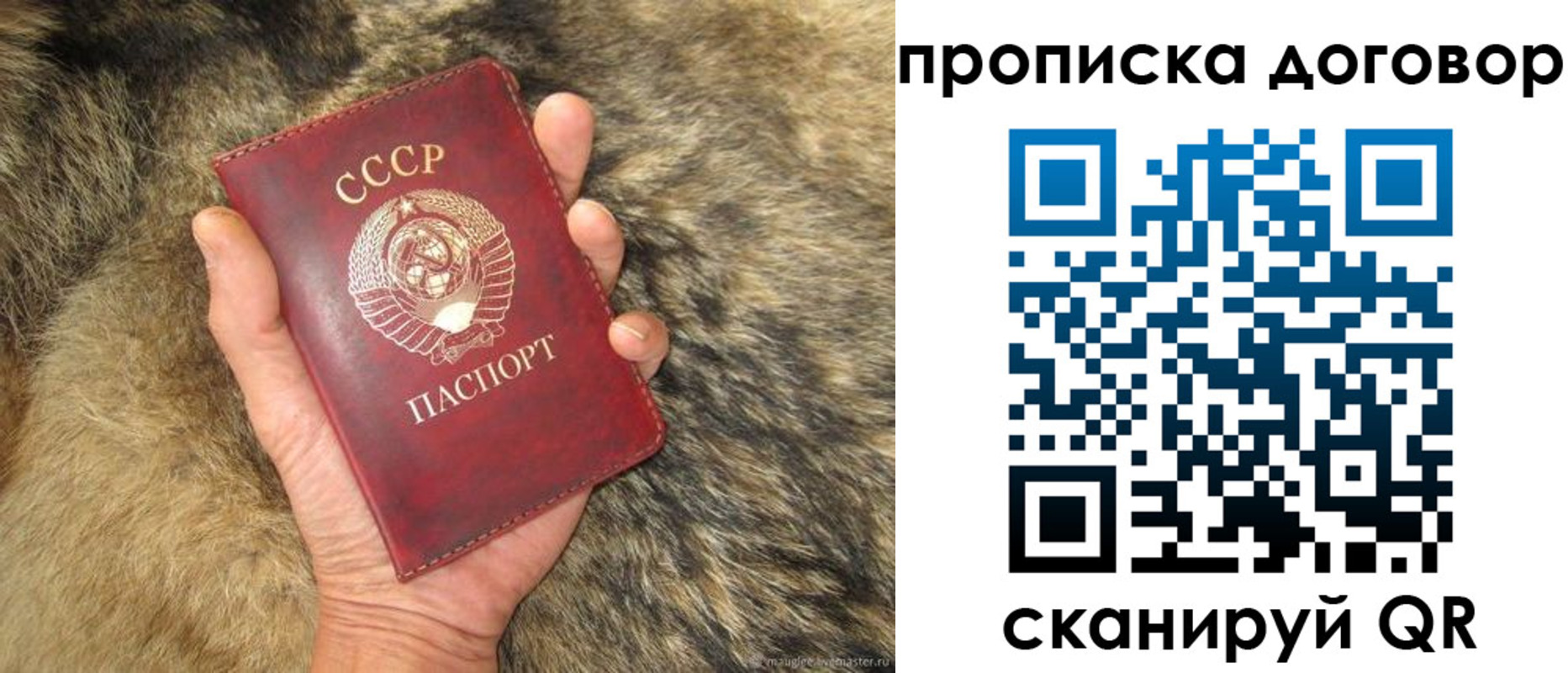 прописка регистрация в Далматово